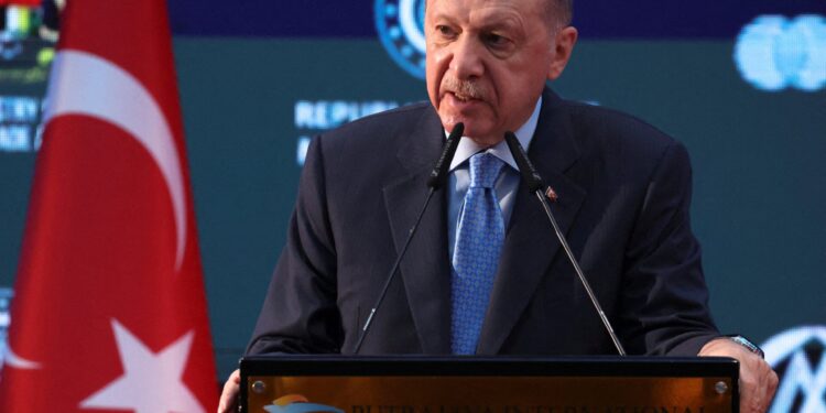 Erdogan ontkent verband derde termijn bij constitutionele beoordeling