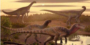 Verrassende ontdekking: onbekende primordiale sarcofaag dinosaurus gevonden in nieuw gebied