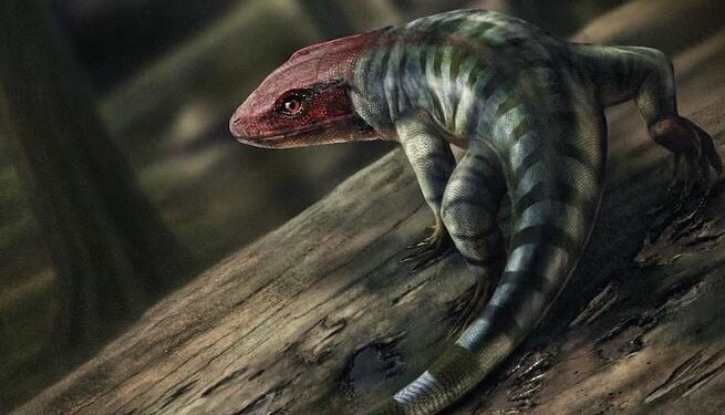 Oudste voorouder van zoogdieren ontdekt: de “patriarch” van de mensheid