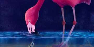 Flamingo’s jagen met tornado’s en waterwervelingen