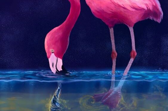 Flamingo’s jagen met tornado’s en waterwervelingen