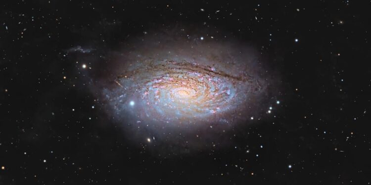 De zonnebloem van het universum: een amateur -astrofotograaf onthult het mysterie