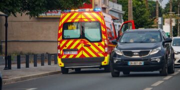 Blikseminslag treft dierentuin – 13 gewonden