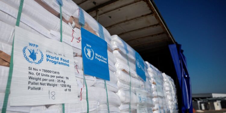 Hulp nodig voor Gaza: Brood en babyvoeding bereiken de zak