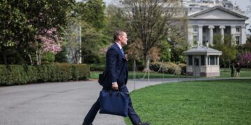 De ongepaste “Hawk”: Michael Walts’ strijd tegen Trump