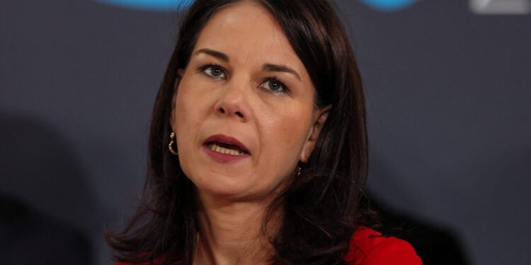 Duitse minister verdedigt democratie tegen kritiek van AFD