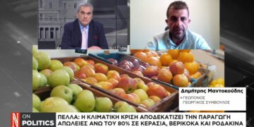 De Droom van een Danseres