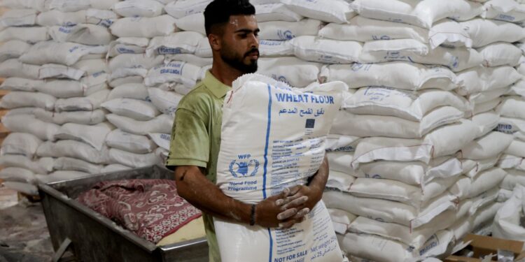 Plundering van vijftien vrachtwagens voedselhulp in Gaza.