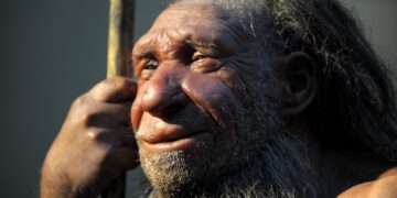 Neanderthalers maakten mogelijk net als moderne mensen kunst, zeggen onderzoekers.