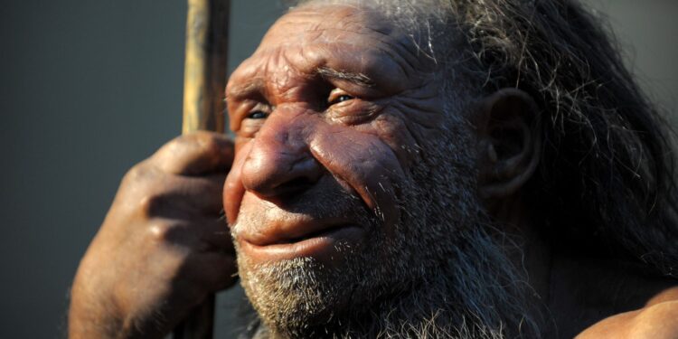 Neanderthalers maakten mogelijk net als moderne mensen kunst, zeggen onderzoekers.