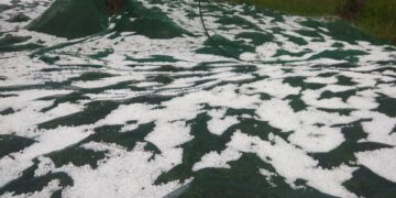 Quartz Protection Program: goedgekeurd als tijdelijke aannemer