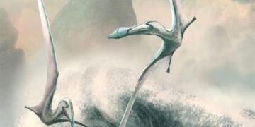 Nieuwe Pterosaurussoorten ontdekt in Duitsland