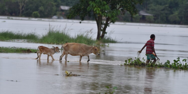 Dodelijke moesson treft India: Minstens 27 doden door overstromingen