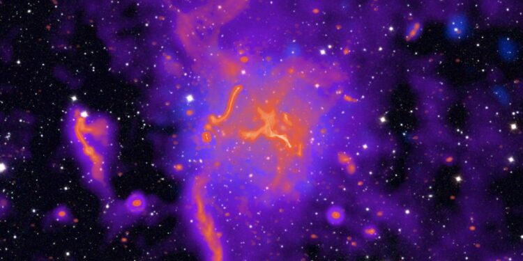 Reuzenkrullen gevonden op oude stelaxten