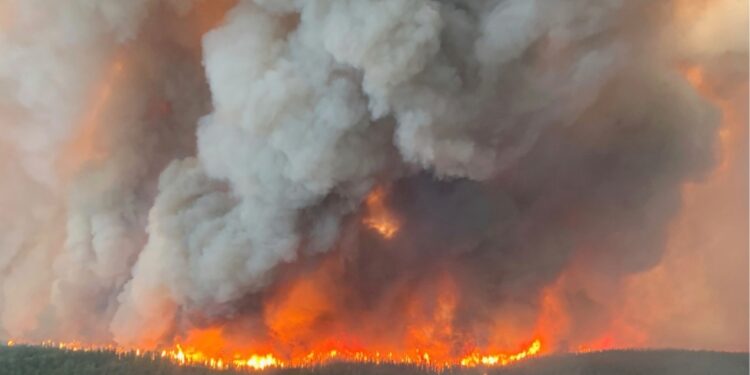 Woedende branden verwoesten 35 miljoen hectare in Canada