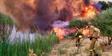 Langdurige cardiopulmonale gevolgen van brandrook.