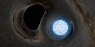 Sterren verpulveren als eieren in zwarte gaten