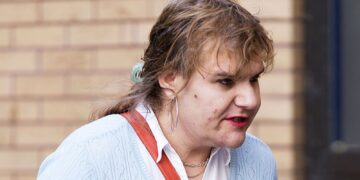 Voormalig Tory MP bekent het lastigvallen van ex-vrouw