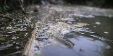 Gevonden: Eeuwigdurende chemicaliën in Britse rivieren