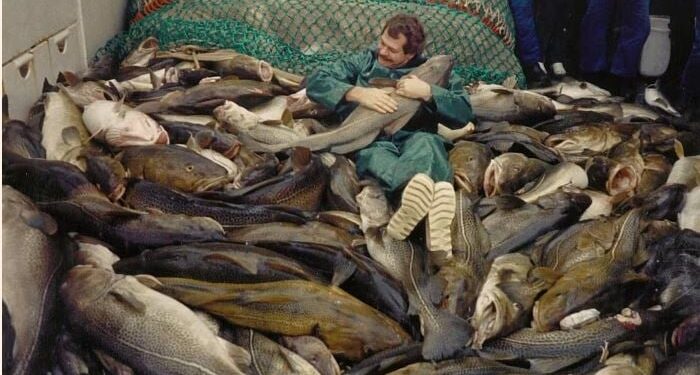 Krimp inzetten om uitsterven te vermijden