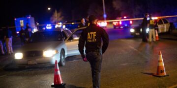 Voertuig rijdt in op menigte in Los Angeles – 20 gewonden