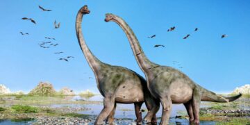 Nieuwe gigantische dinosaurussen ontdekt in China