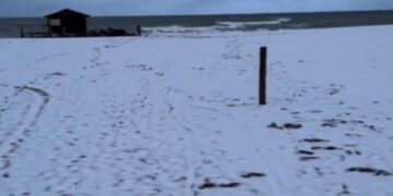 Dodelijke koudegolf treft Argentinië, Chili en Uruguay: minstens 15 doden