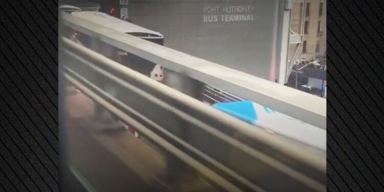 Busbotsing in New York: 14 gewonden bij ongeluk