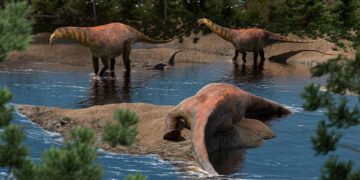 Reusachtige dinosaurus ontdekt in Argentinië