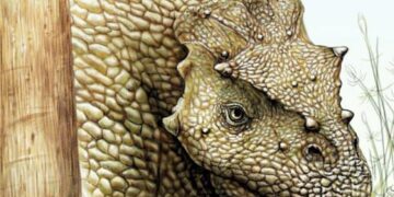Vreemde oude dinosaurus ontdekt in China