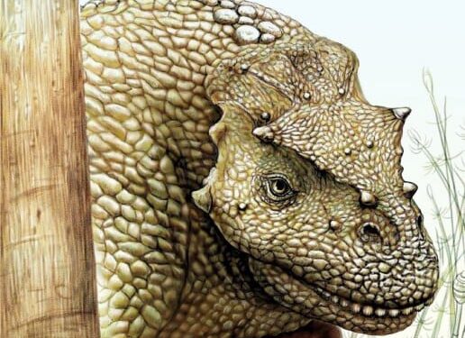 Vreemde oude dinosaurus ontdekt in China