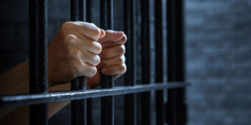 Ontsnappen uit Frankrijk: de triomf van zijn resistente zak