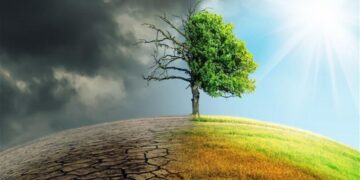 Onwettige inactiviteit tegen klimaatcrisis: open voor internationale compensatie