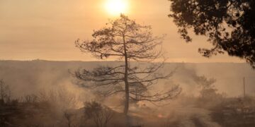 Brandweer uit Griekenland helpt Limassol in crisis.