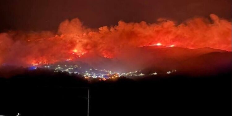 Portugal strijdt tegen bosbranden met 1.700 brandweerlieden