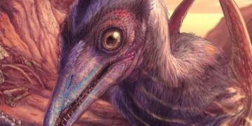Ontdekking oudste pterosaur in Noord-Amerika
