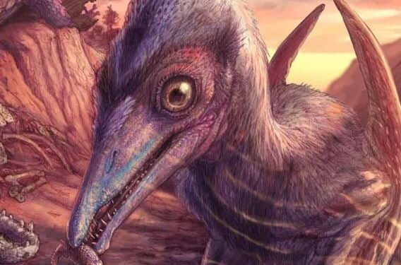 Ontdekking oudste pterosaur in Noord-Amerika