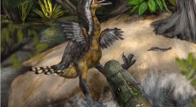 Oude alligatoraanval op ‘terreurvogel’ onthuld door paleontologen
