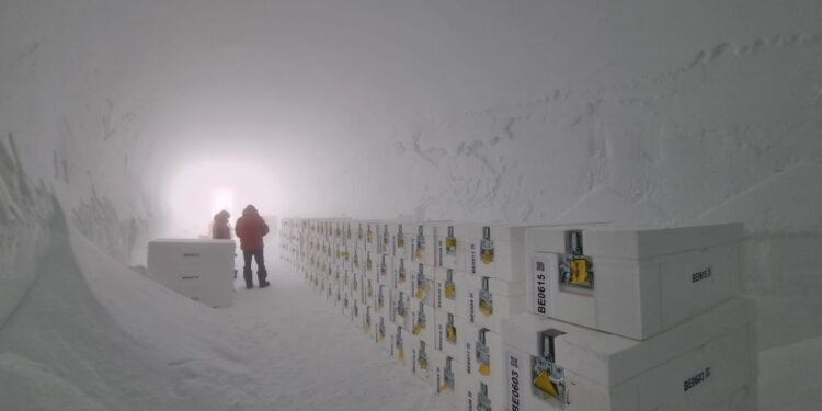 Oudste ijs van Antarctica naar UK voor klimaatonderzoek