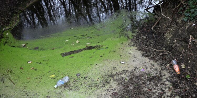 Toename watervervuiling: oorzaken en gevolgen