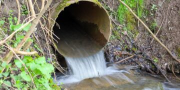 Milieu-minister belooft halvering rioolvervuiling waterbedrijven voor 2030
