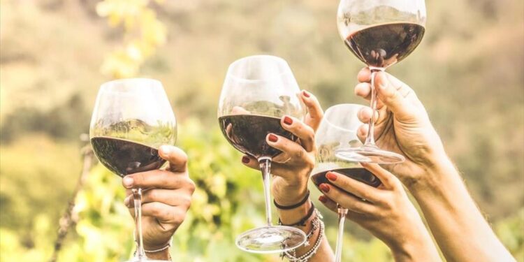 De aantrekkingskracht van alcohol: het evolutionair geschenk van apen