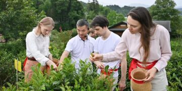 Een Eeuw Chinese Zwarte Thee: Vol van Geur en Geschiedenis