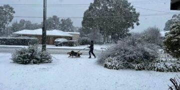 Zeldzame sneeuwval in Oost-Australië: steden bedekt met 50 cm sneeuw