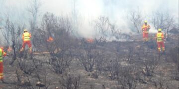 Grote bosbrand in noordelijk Marokko beperkt tot 5000 hectare.