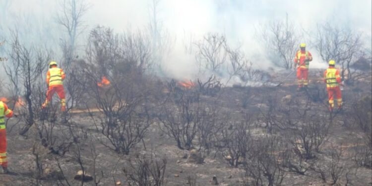 Grote bosbrand in noordelijk Marokko beperkt tot 5000 hectare.