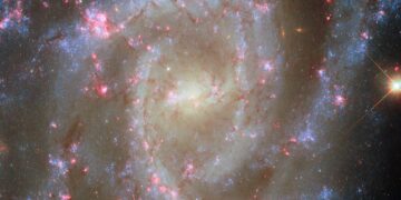 Bloeiende nevels: geboorte van gigantische sterren