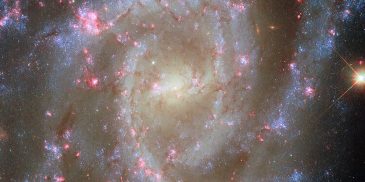 Bloeiende nevels: geboorte van gigantische sterren