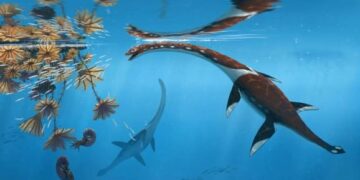 Zeldzame oerbenadering ontdekt in Duitsland