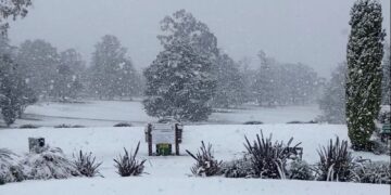 Ongebruikelijke sneeuw, regen en onweersbuien teisteren Oost-Australië